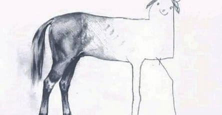 horse drawing project